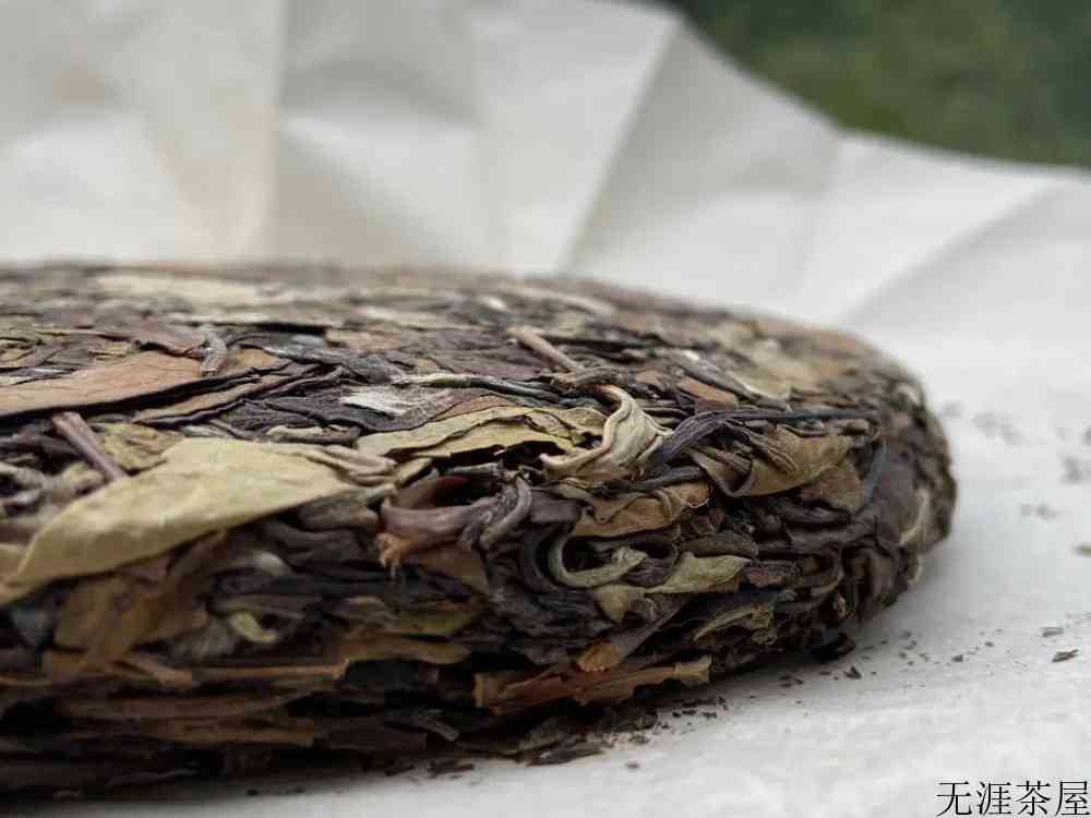 温性茶都有哪些