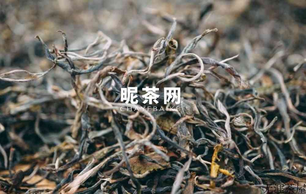 倚邦普洱茶特点