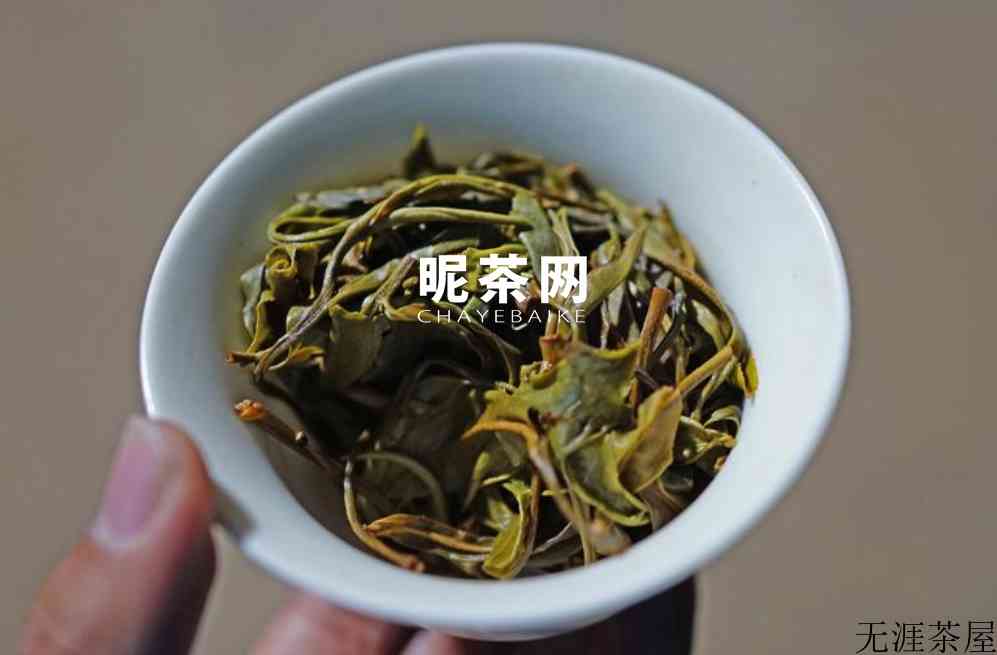 倚邦普洱茶特点