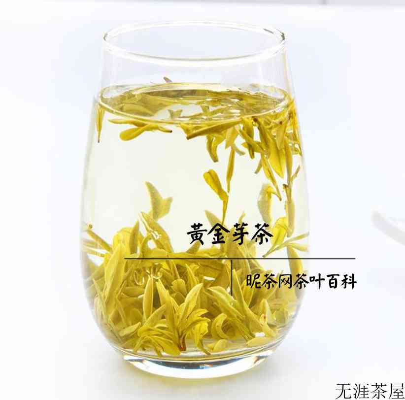 黄金茶和黄金芽有什么区别