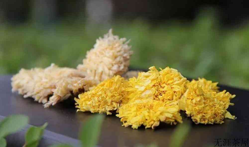 菊花泡水后为什么变绿能喝吗