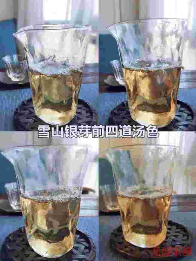 福鼎银针的汤色对比