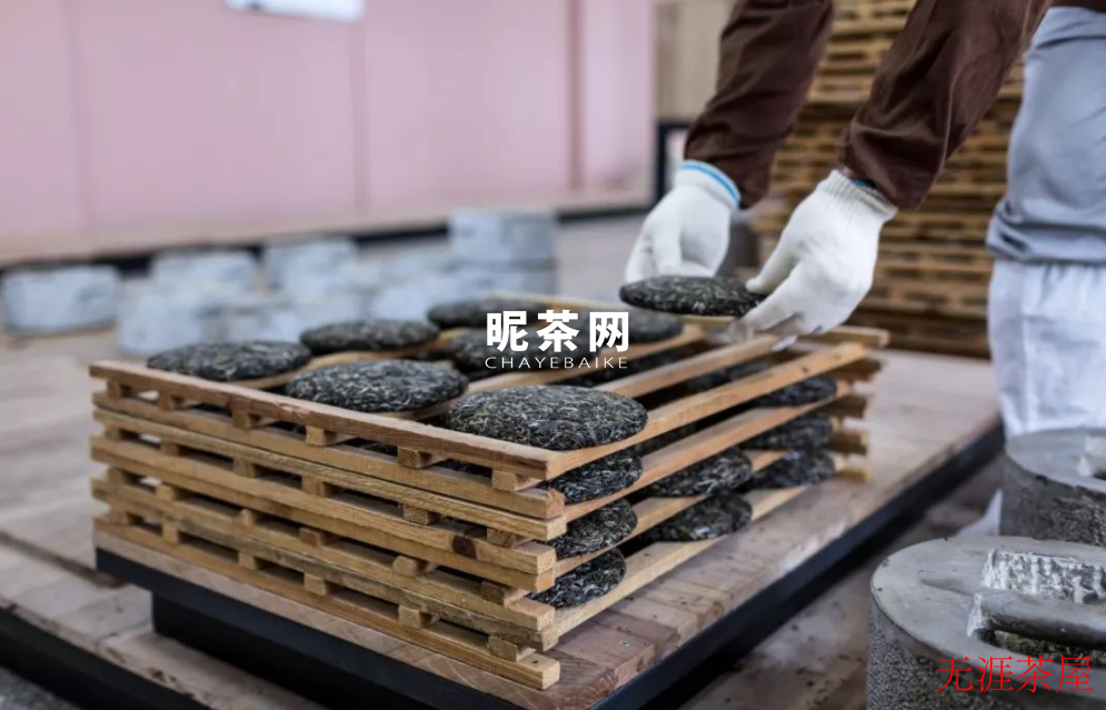 什么是普洱熟茶生茶