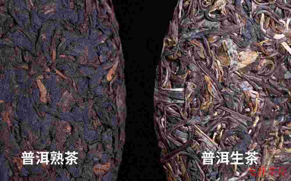 普洱茶知识