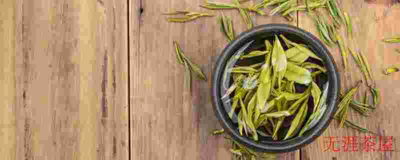 新茶和陈茶的区别主要看什么