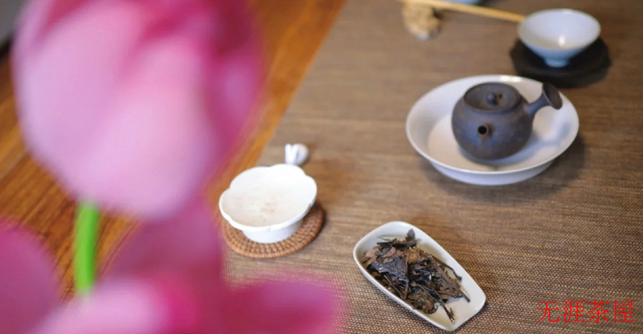 常见的白茶有哪些品种