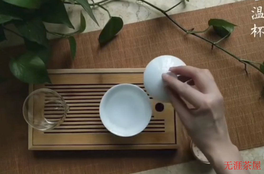 陈皮白茶怎么泡