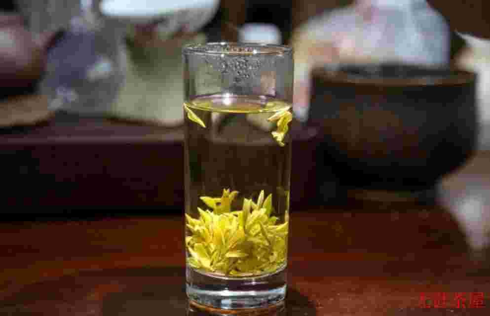 天台山黄茶是什么茶