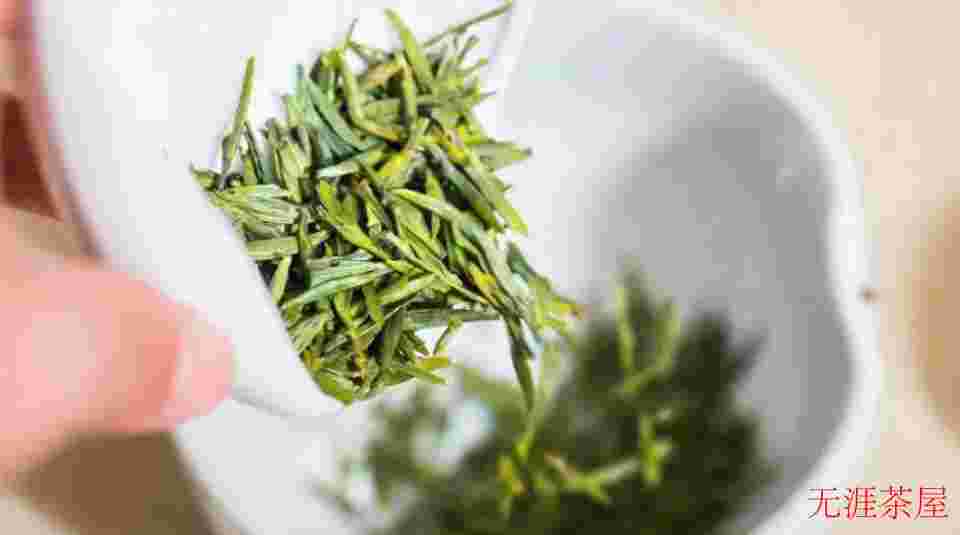茶梗长的绿茶是不是夏天采的