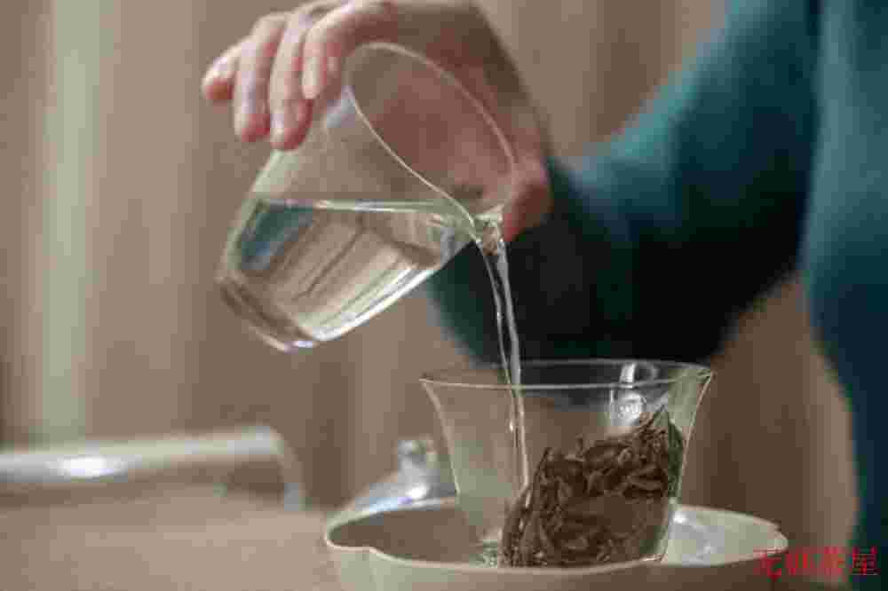 普洱茶里面有茶梗，是好还是坏
