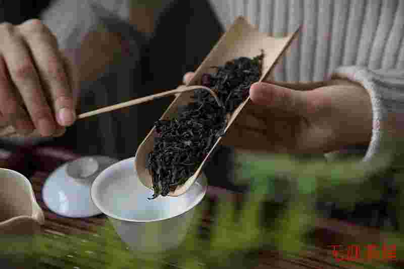 武夷雀舌茶有什么特点