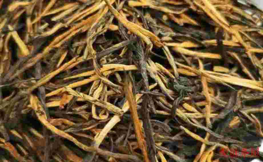 滇红金针是春茶好还是秋茶好