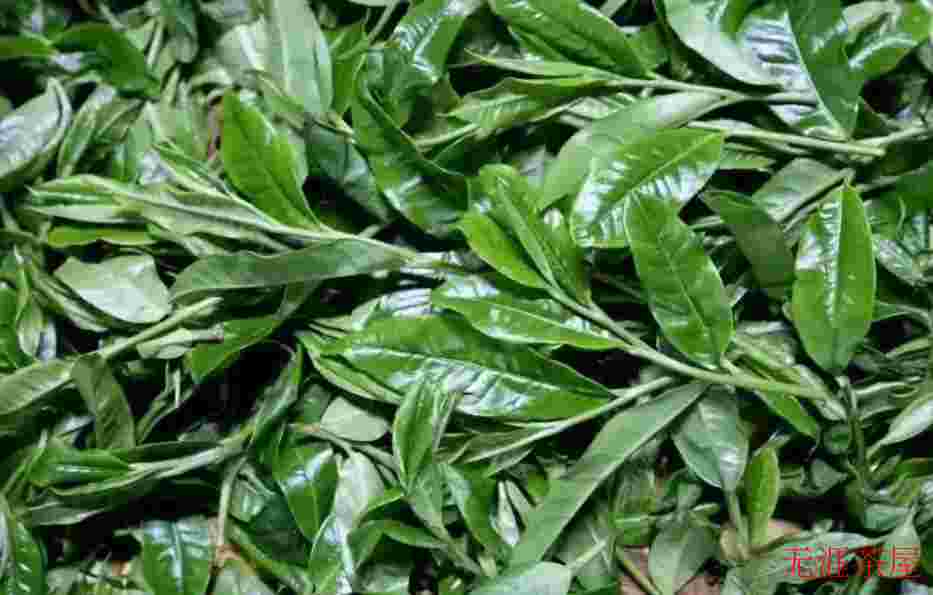百花潭普洱茶的特点