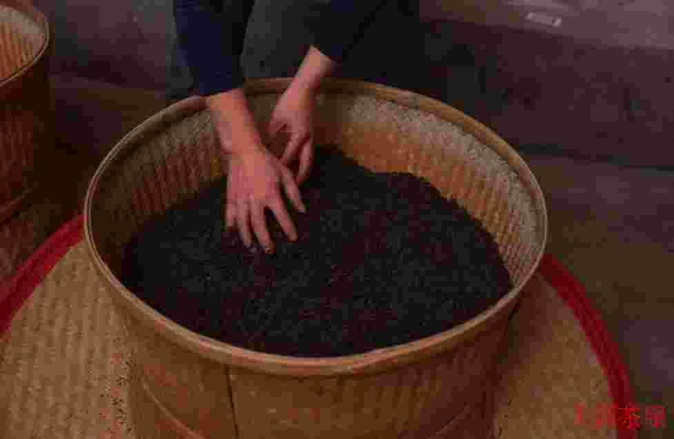 什么是茶叶的加工