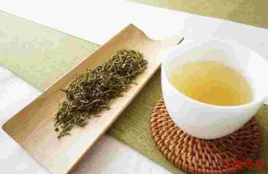 常见的茶叶品种