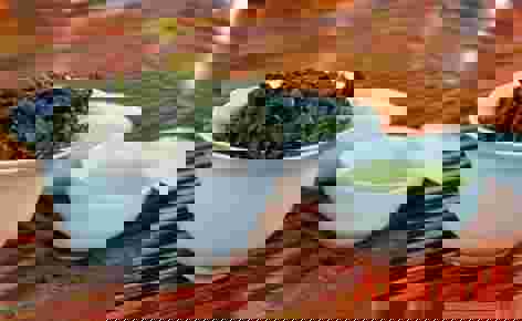 菊花茶产地最好在哪里,中国最好的菊花茶产地