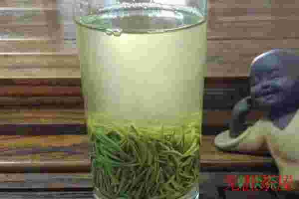 茶水混浊是怎么回事，四大原因揭秘(品种品质是关键)