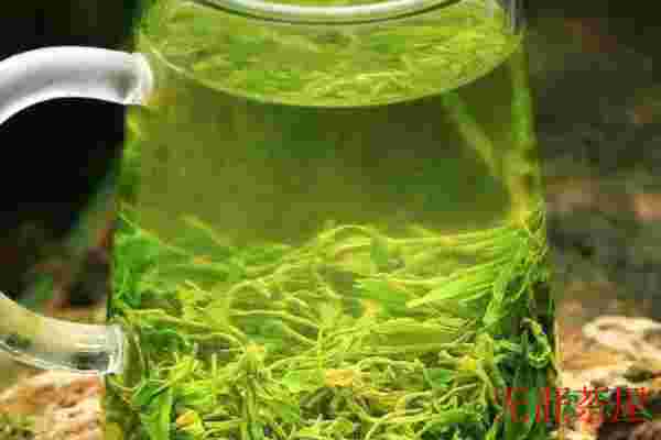 茶水混浊是怎么回事，四大原因揭秘(品种品质是关键)