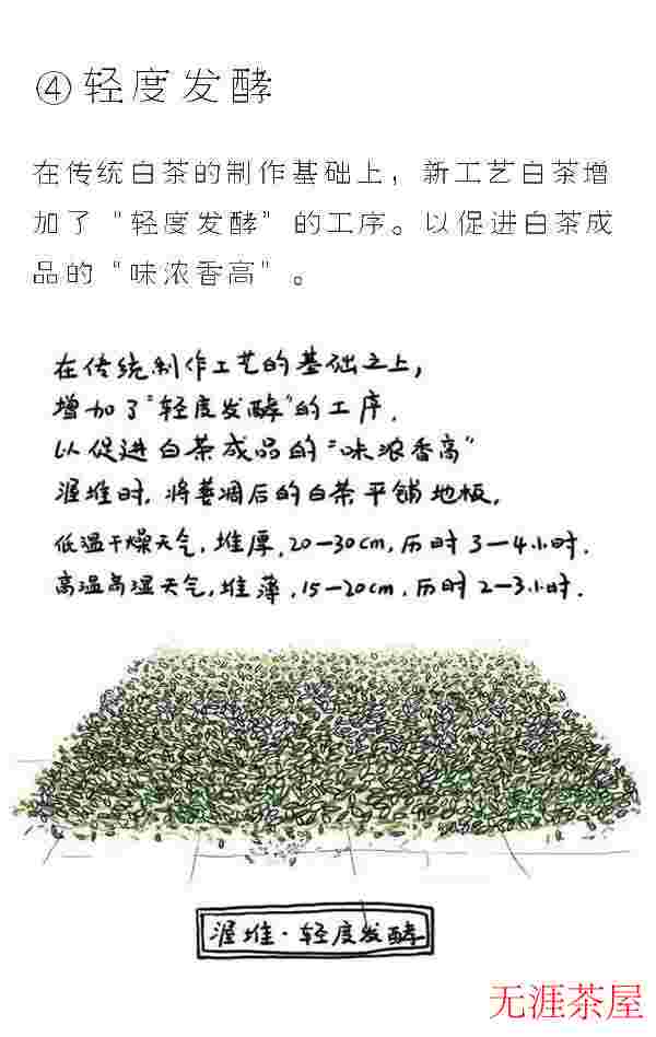 图解白茶的制作工艺 七分晒、三分焙