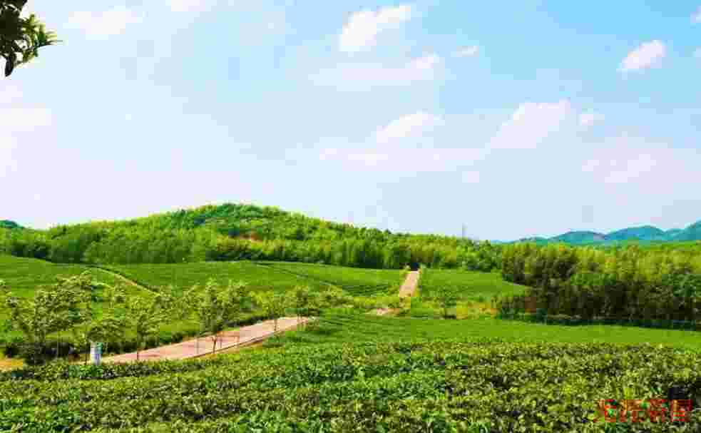 青砖茶属于什么茶 青砖茶的特点介绍