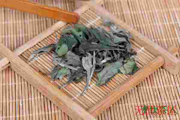 什么是白茶，白茶是属于什么性质的茶