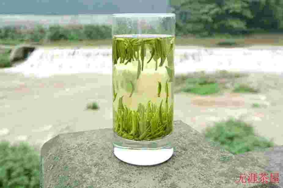 雀舌是什么茶