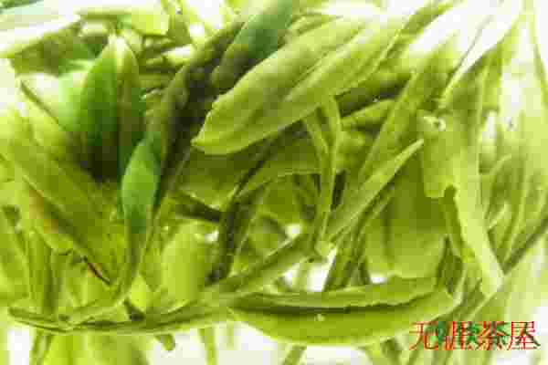黄芽属于什么茶，黄芽是绿茶吗(轻发酵茶类)