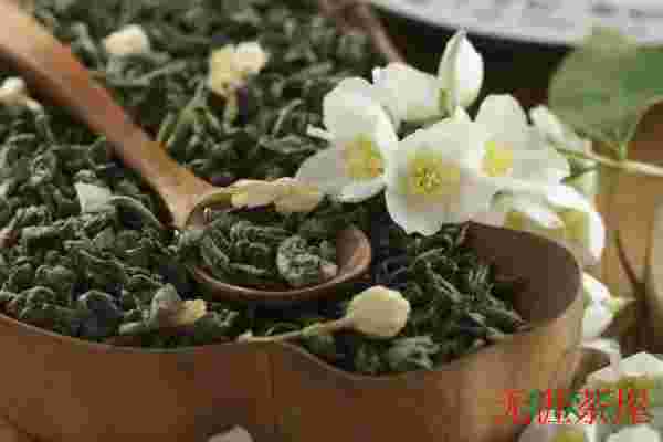 茉莉花茶可以天天喝吗，茉莉花茶能不能每天都喝