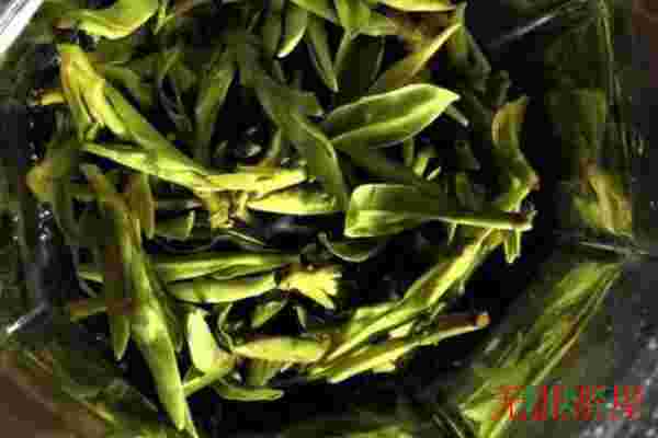 龙井茶为什么不能用开水泡，龙井茶不能用开水泡着喝吗