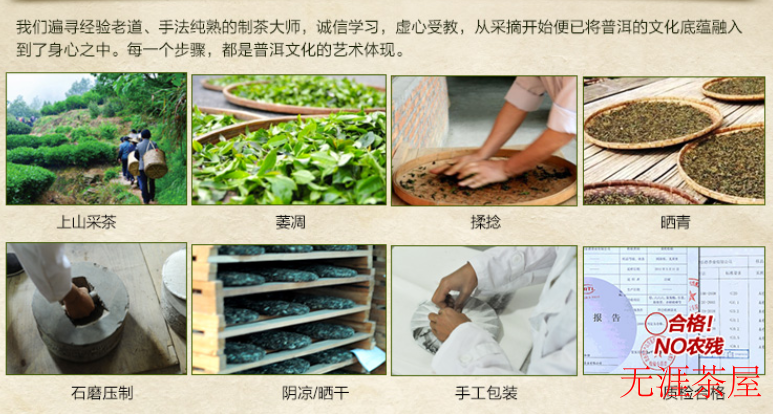 白莺山茶的制作方法