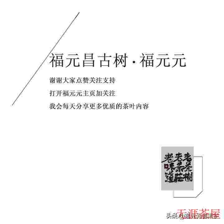 大雪饮茶·天是冷的，茶是暖的