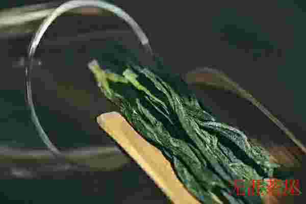 太平猴魁属于什么茶类，太平猴魁是绿茶吗(不发酵的绿茶)