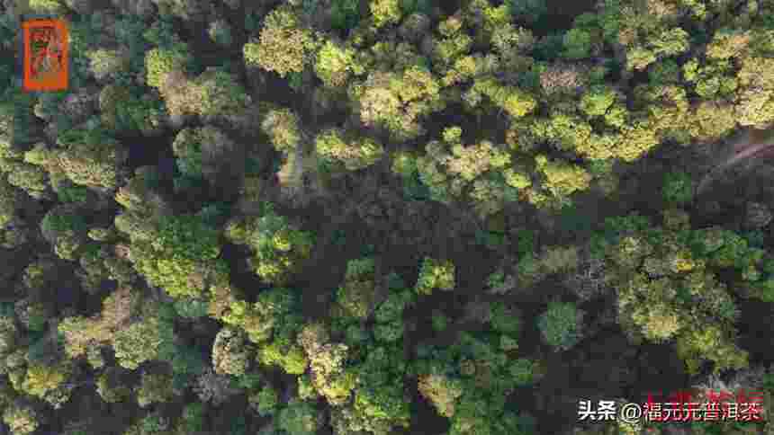 茶山行｜人间秘境，探寻千年古山寨章郎村