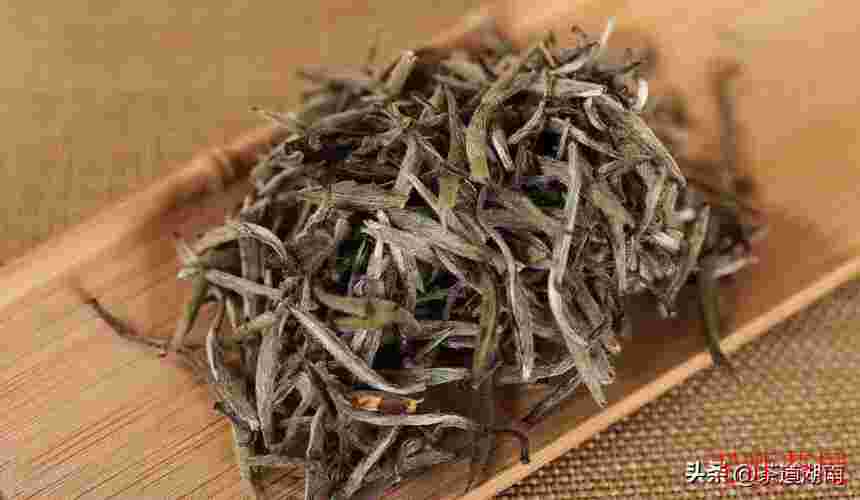 这些小而美的“雪茶”，你知道几个？