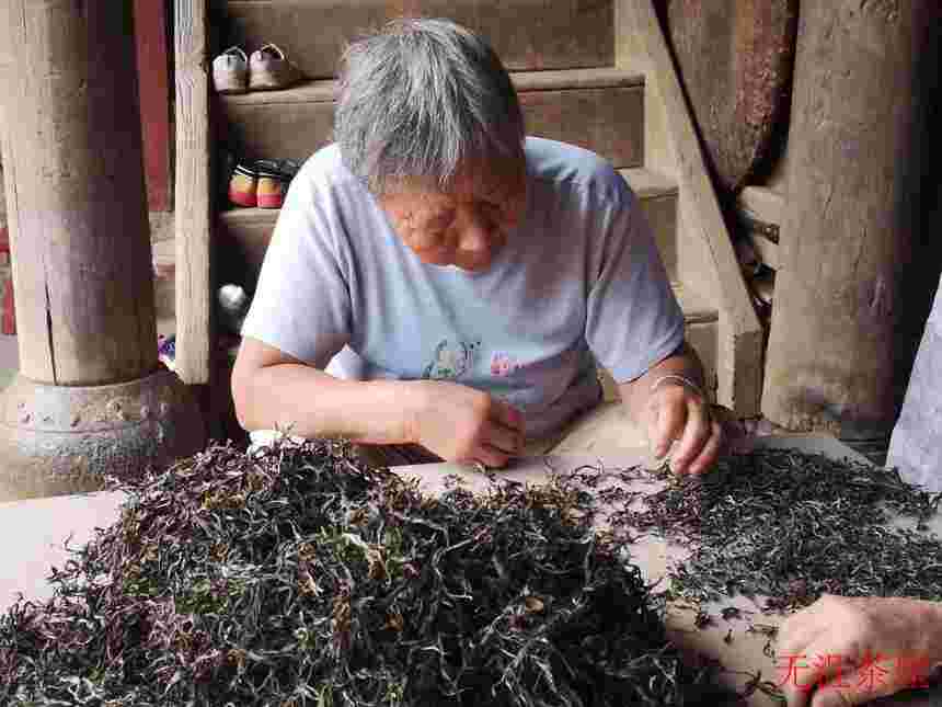 普洱茶里的“黄金叶”