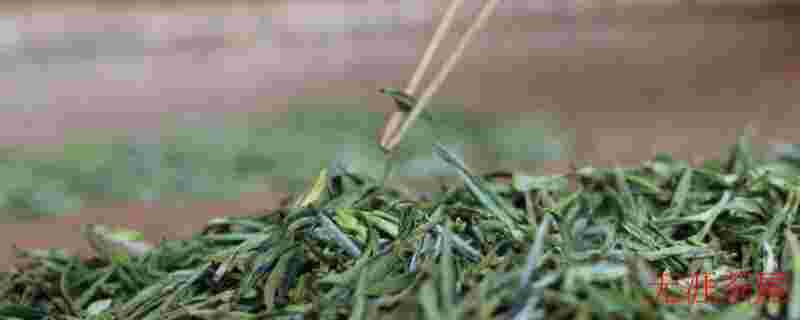 霍山黄芽算是好茶吗（霍山黄芽是什么茶）