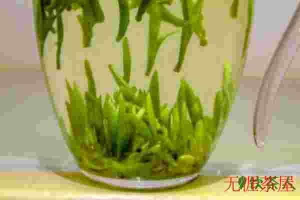 毛尖茶怎么泡，毛尖茶如何冲泡(好茶仅需五步)