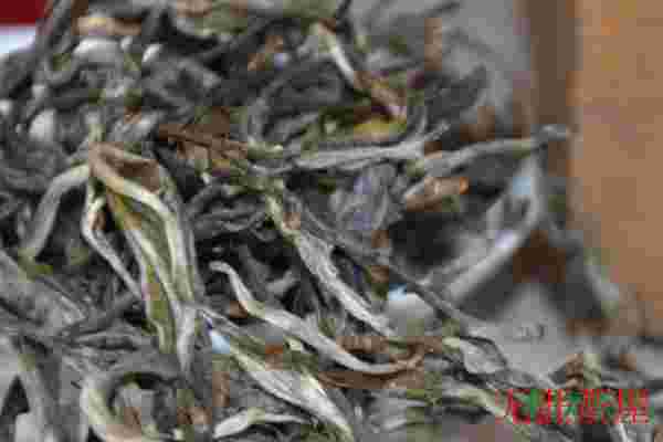 普洱熟茶的正确冲泡方法，普洱熟茶冲泡方法及过程(仅需五步)