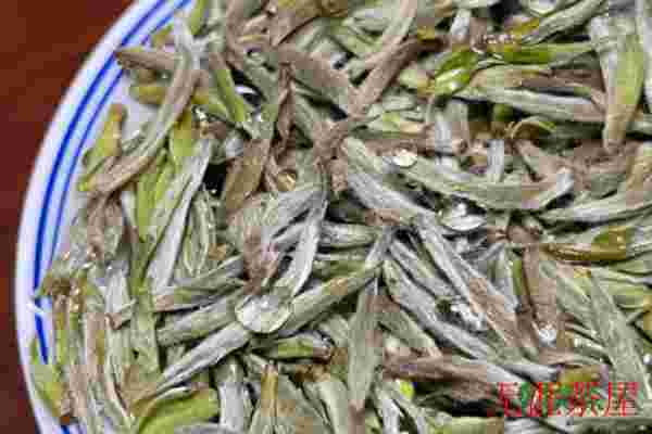 白茶是泡还是煮着喝，白茶是泡还是煮会更好呢(注意三大细节)