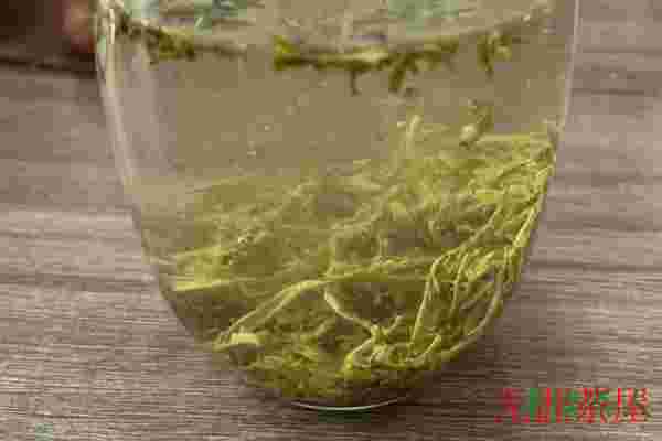 泡的茶叶里面都是很细的毛毛能喝吗，茶叶泡水有毛状物是什么