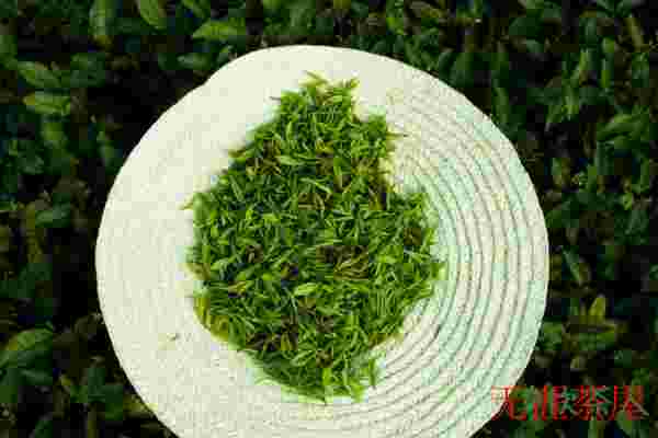 龙井茶新茶好还是老茶好，龙井老茶和新茶哪个好(新茶最细嫩)
