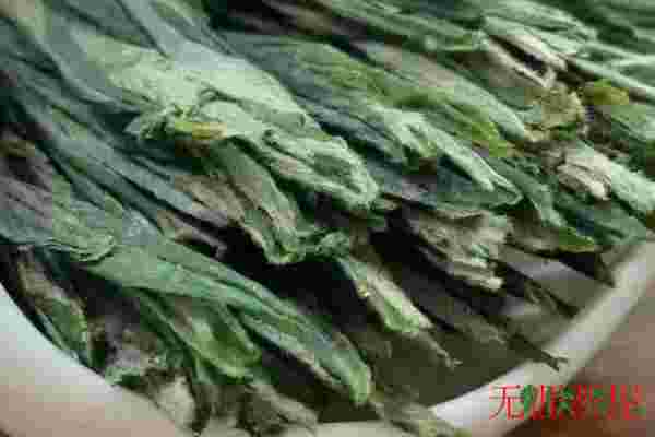 猴魁茶好还是瓜片好，猴魁和瓜片哪个好(顶尖名茶代表)