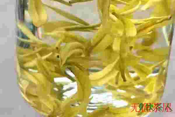 黄金芽泡茶方法，黄金芽茶叶怎么泡(这样泡汤色明黄味鲜)