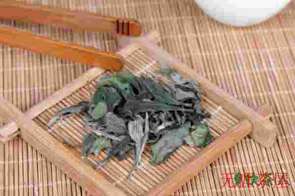 政和白茶泡着喝还是煮着喝，政和白茶要煮吗(老茶烹煮更醇)