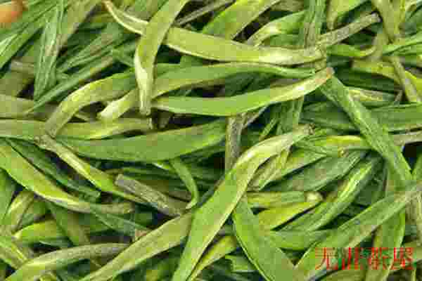 雀舌是什么茶，雀舌属于什么档次(高端名优绿茶)