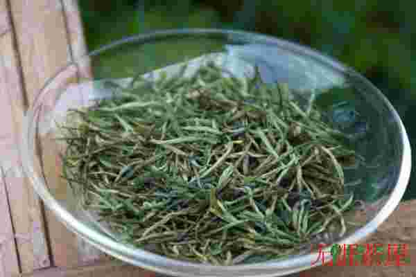 绿茶可以瘦身吗，多喝绿茶有利于减肥(能减少脂肪)