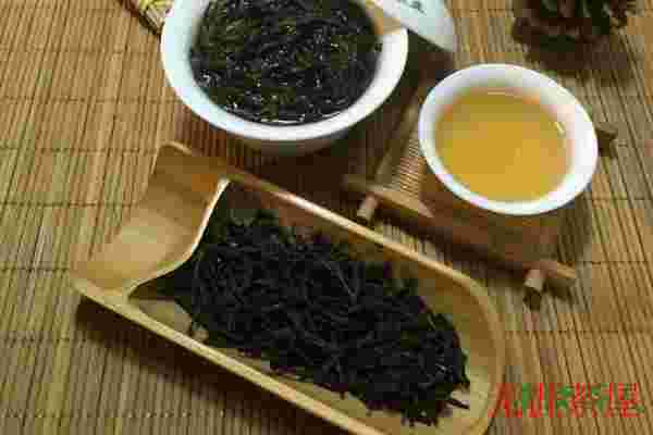 单丛茶为什么叫单丛，单株采摘/单株制茶/单株售卖的茶叶