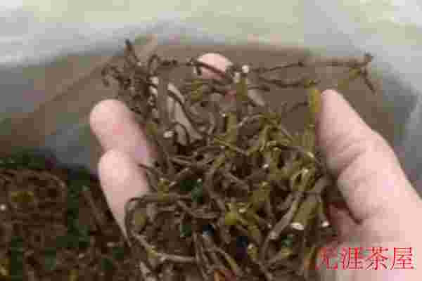 螃蟹脚茶的功效与作用，每天喝螃蟹脚茶的好处