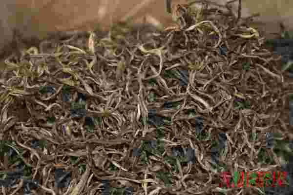 曼松普洱茶的特点，产量稀少/口感甜润(极品贡茶)