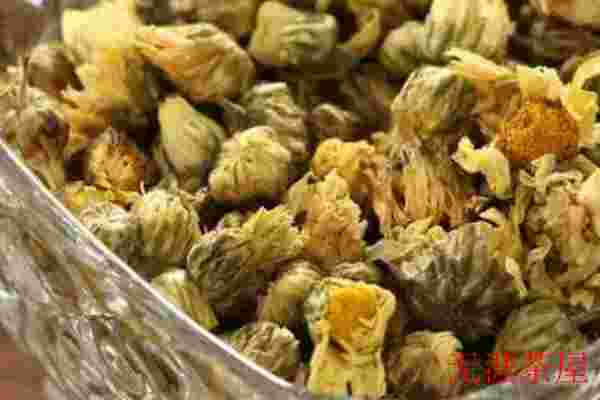 哪些茶叶可以加菊花，祁红/滇红/铁观音/普洱茶